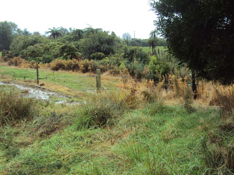 858 Shwy 67 Nikau Kahurangi National Park_9
