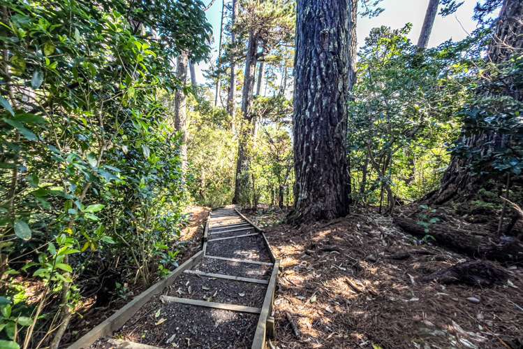 32 Aeroview Drive Beach Haven_46