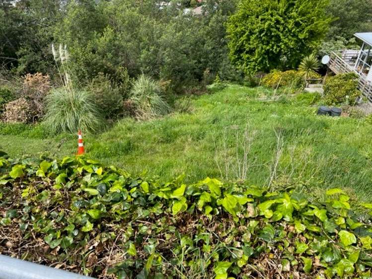 21 Jenner Road Toi Toi_6