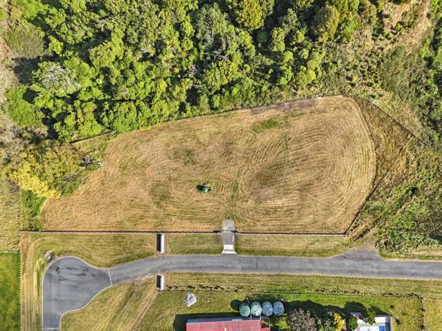 Lot 1 Whio Grove Hokio Beach_3