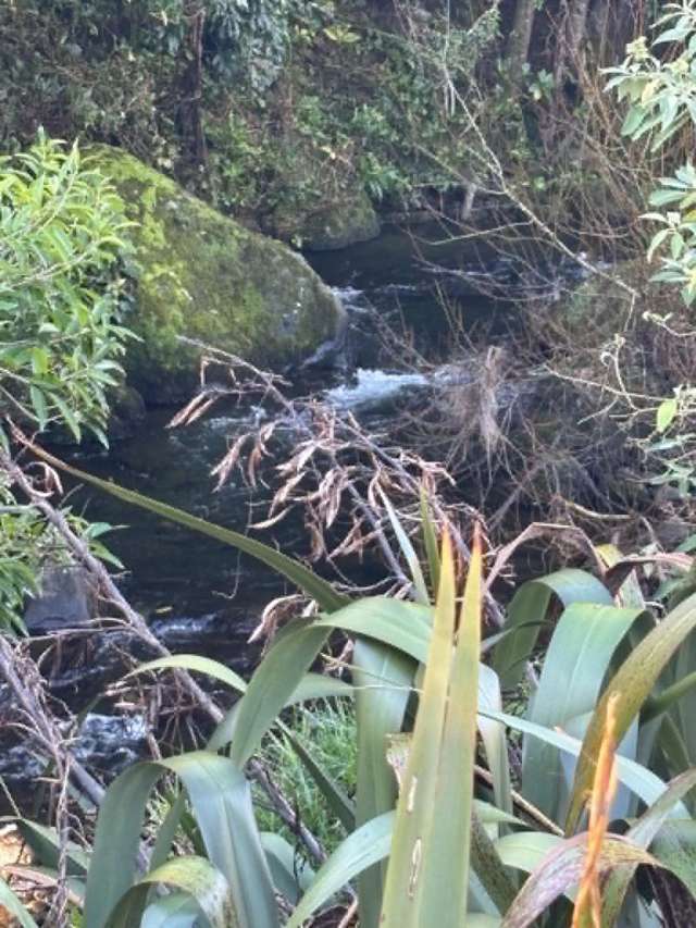 Lot 1 / 229 Hurford Rd Omata_2