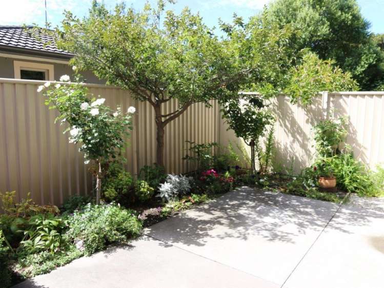 3 Achil Street Cromwell_13