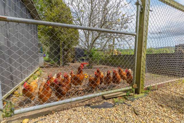 24 and 26 Tahuna-ohinewai Road Morrinsville_1