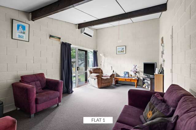 Flats 1-4/46A Avenue Road Greenmeadows_4