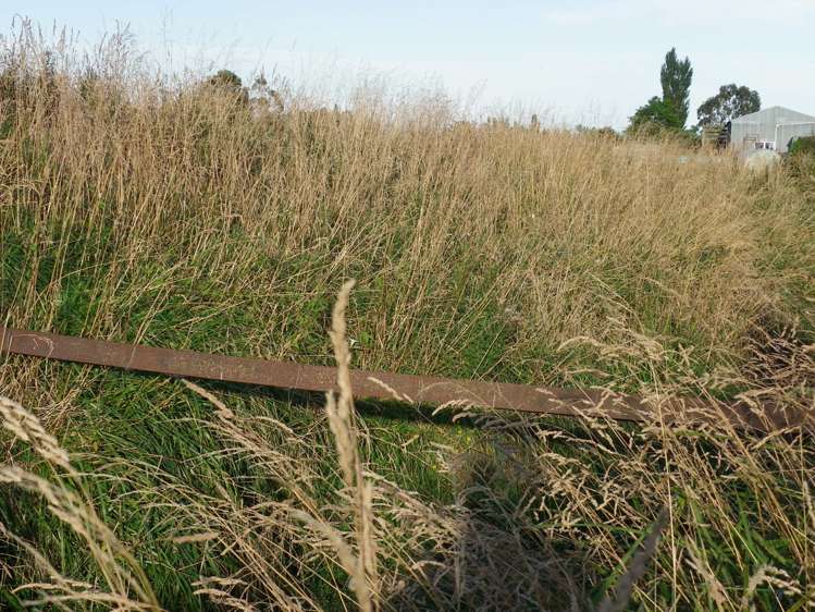 208 Schoolhouse Road Kaikoura_13