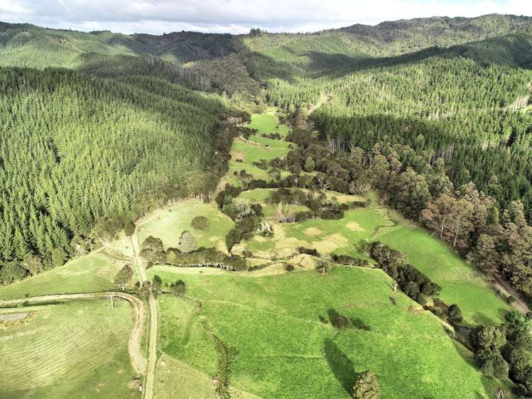 129 Owera Road Te Rerenga ThamesCoromandel Rural Property For