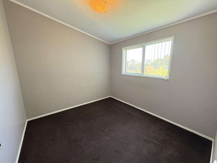 1255 Braemar Road 11597_17