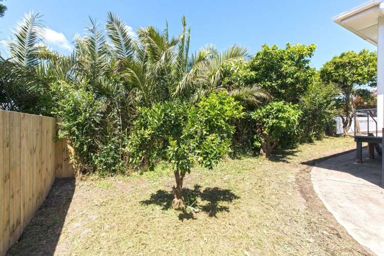 17 Harrington Road Henderson_18