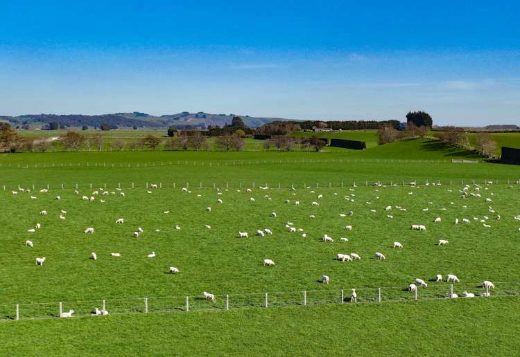 57 Island Edendale Road Edendale_1