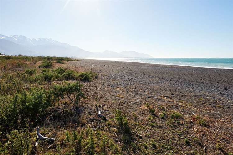 154 Beach Road Kaikoura_49