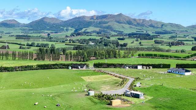 The perfect kiwi dream awaits