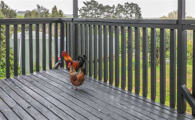 44 Renown Road Huntly_22