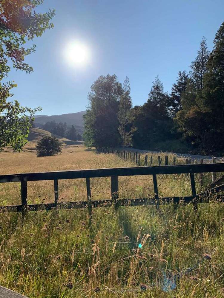 1819 Mataraua Road Kaikohe_34