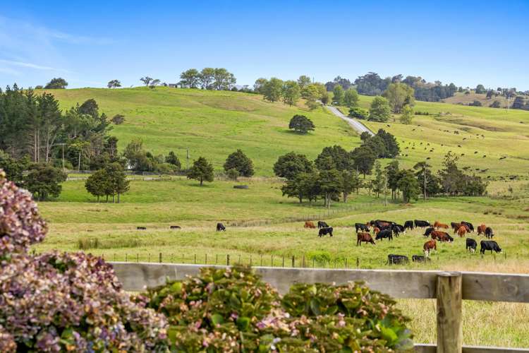 291 Prictor Road Wellsford_13