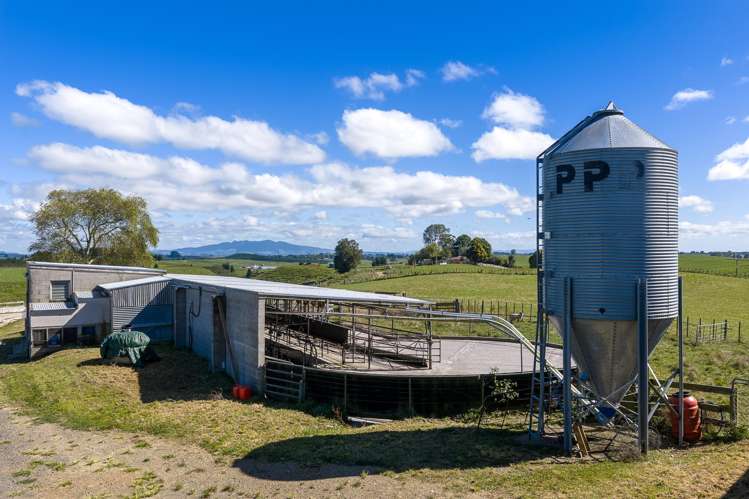 1888 Old Taupo Road Wiltsdown_15