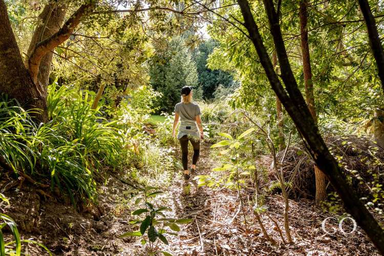 21a Sharyn Place Brookfield_6