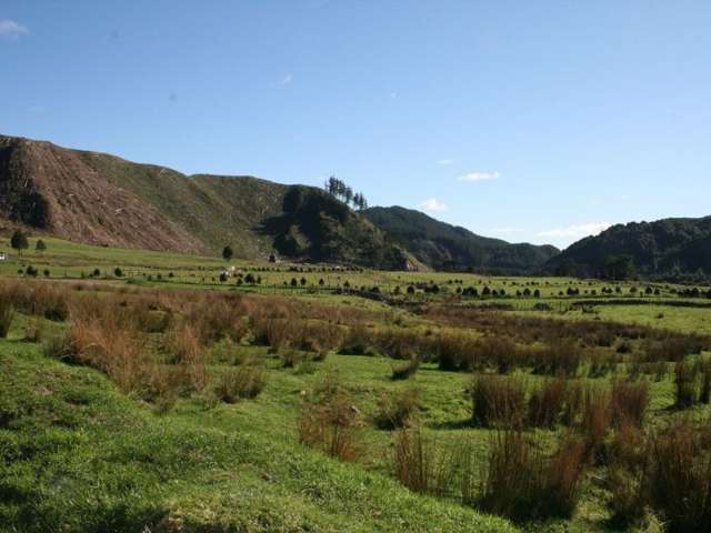 1268 Otaki Gorge Road Otaki_2