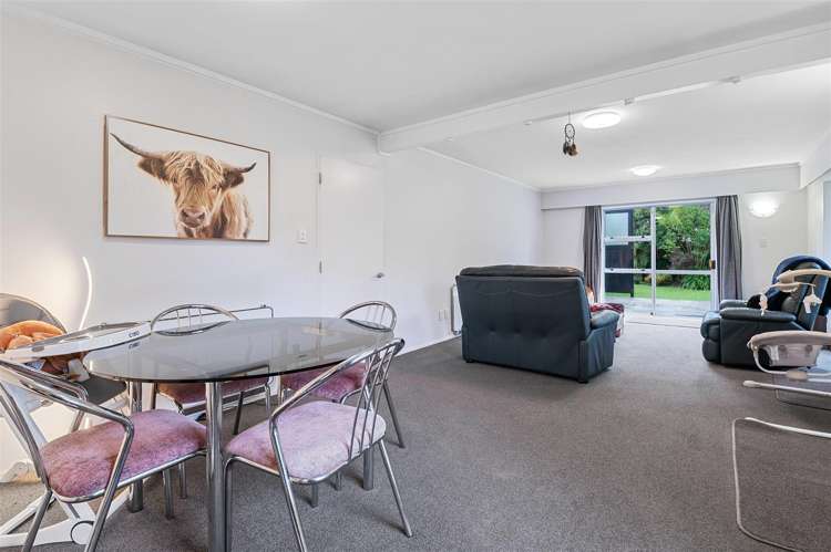 131 Old Taupo Road Utuhina_5