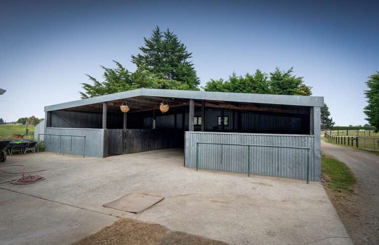 4/229 Curraghs Road Weedons_13