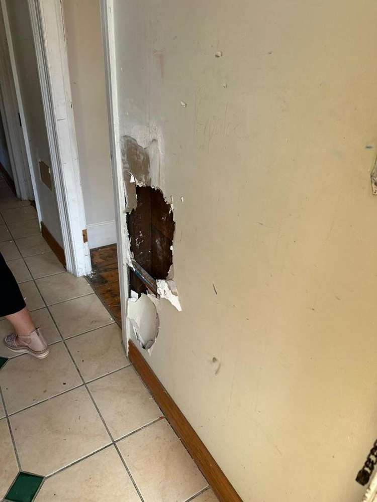 89 Elm Row Dunedin Central_12