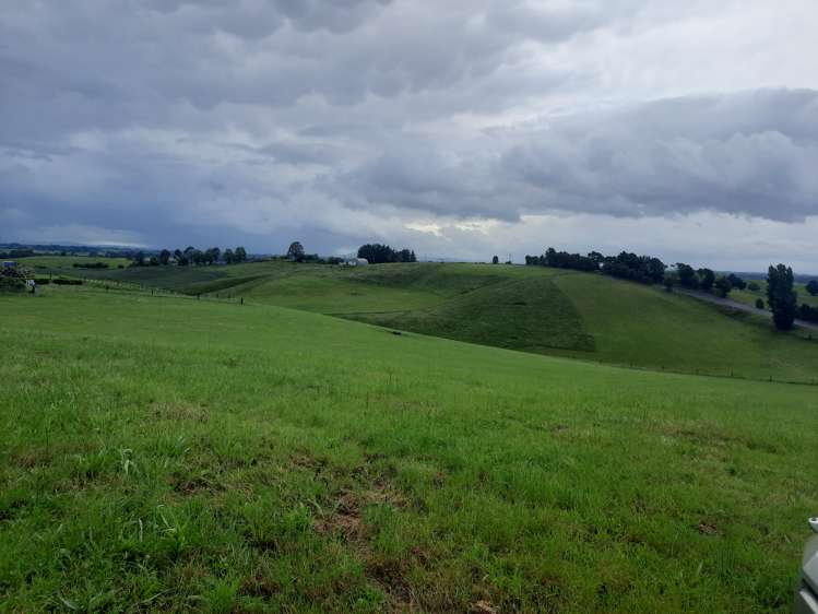 35 Grove Access Road Karamu_22