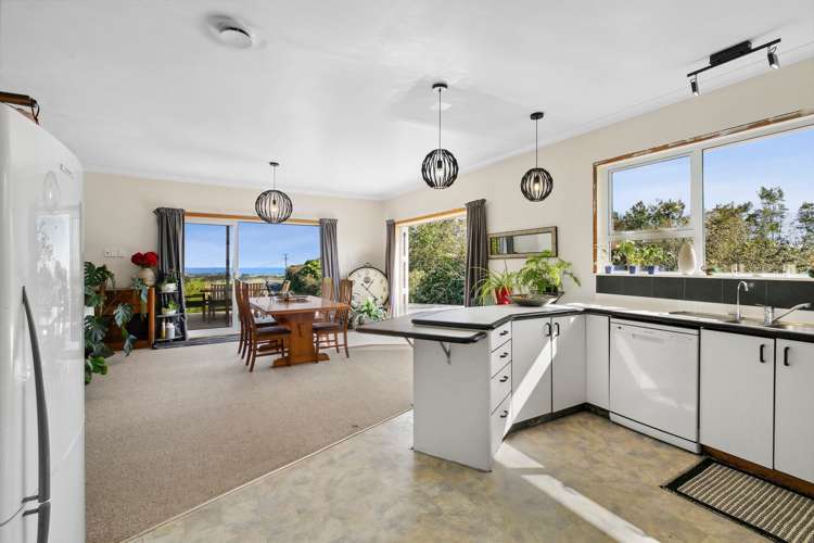 483 Upper Pitone Road Pitone_7