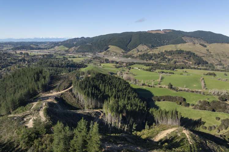 Graham Valley Road Motueka Valley_13