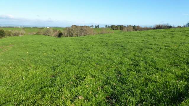 343 Opunake Road Cardiff_3