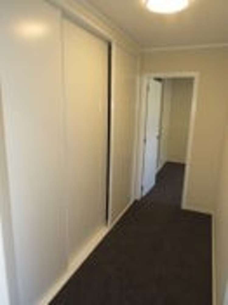 54 Norway Street Aro Valley_1