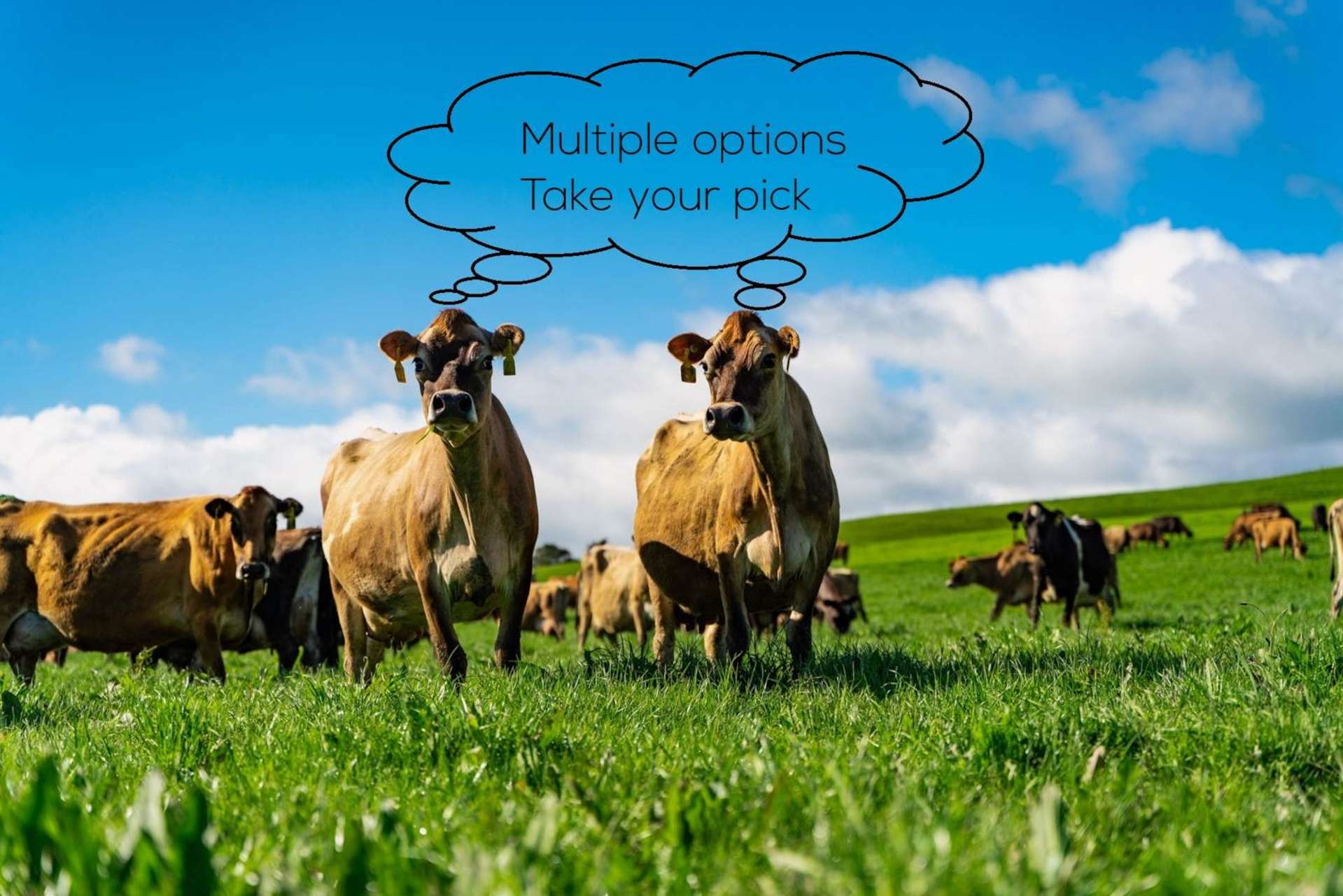 2682 State Highway 1 Hukerenui_0