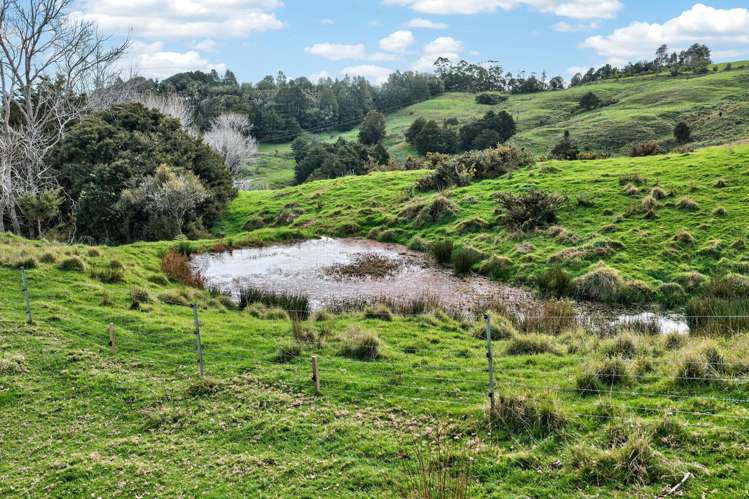 63 Porter Road Paparoa_38