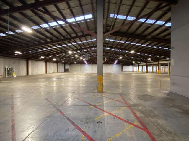 11 Mcdonald Street Morningside_1