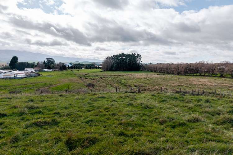 86 Mclean Street Woodville_12
