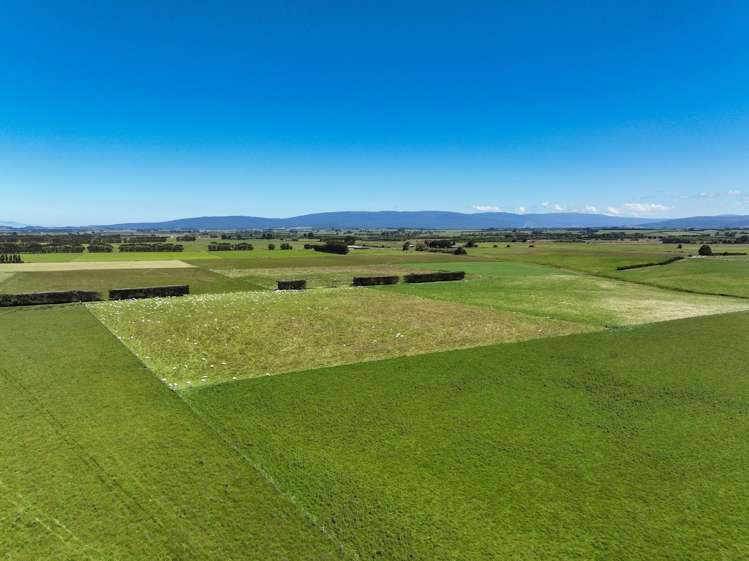 1589 Riverton Wallacetown Highway Thornbury_11