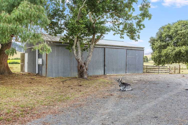 232 Martin Road Waerenga_5