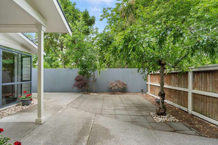 7 McMaster Street Greytown_13