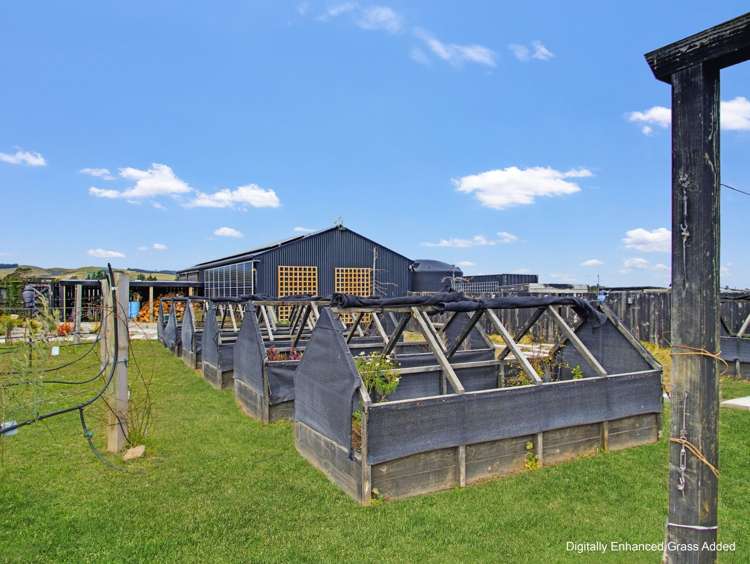 153 Innes Road Amberley_14