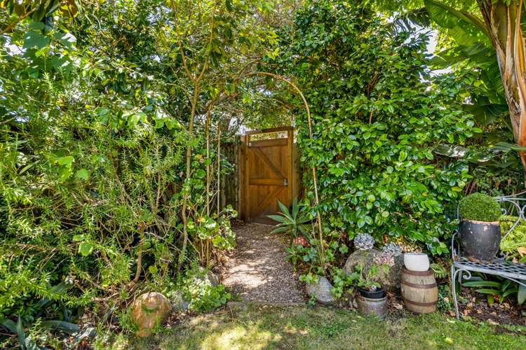 2/40 Speight Road Kohimarama_4