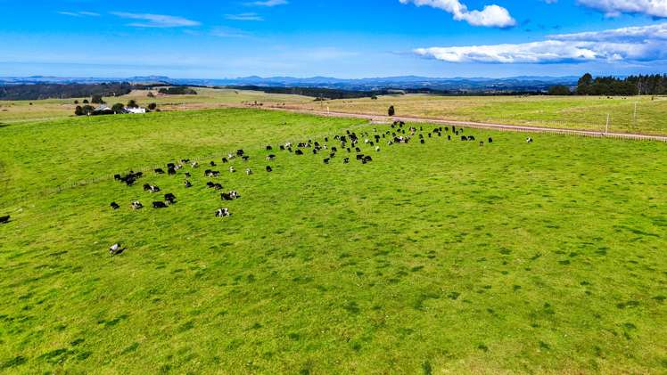 540, 542 and 570 Mangakaretu Road Okaihau_6