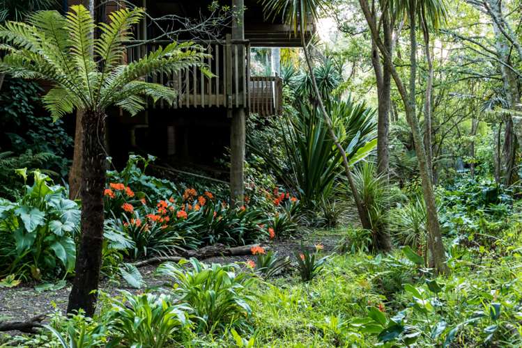 2/59 Tarawera Terrace Saint Heliers_28