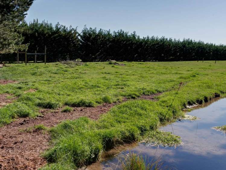 175 Walkers Road Rolleston_25