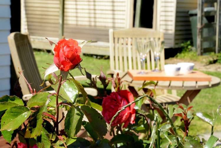 23 Back Road Milton_27