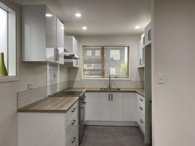 3 Pohutukawa Place Ellerslie_3
