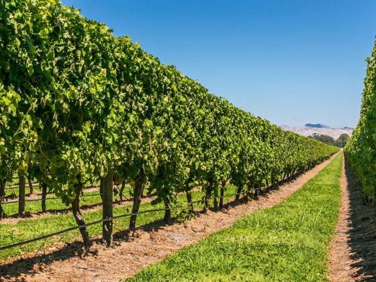 75 Pembers Road Tuamarina_10