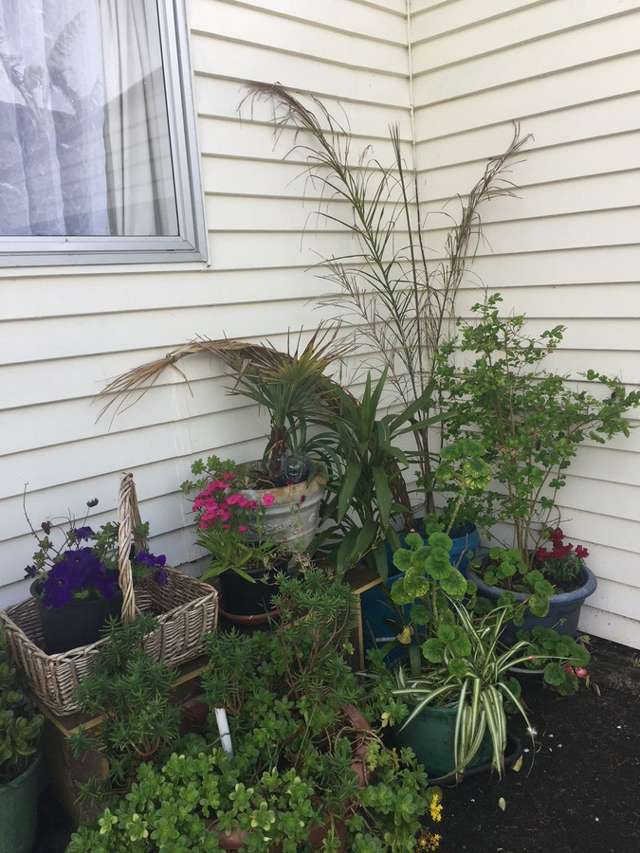 23 Rowandale Avenue Manurewa_3