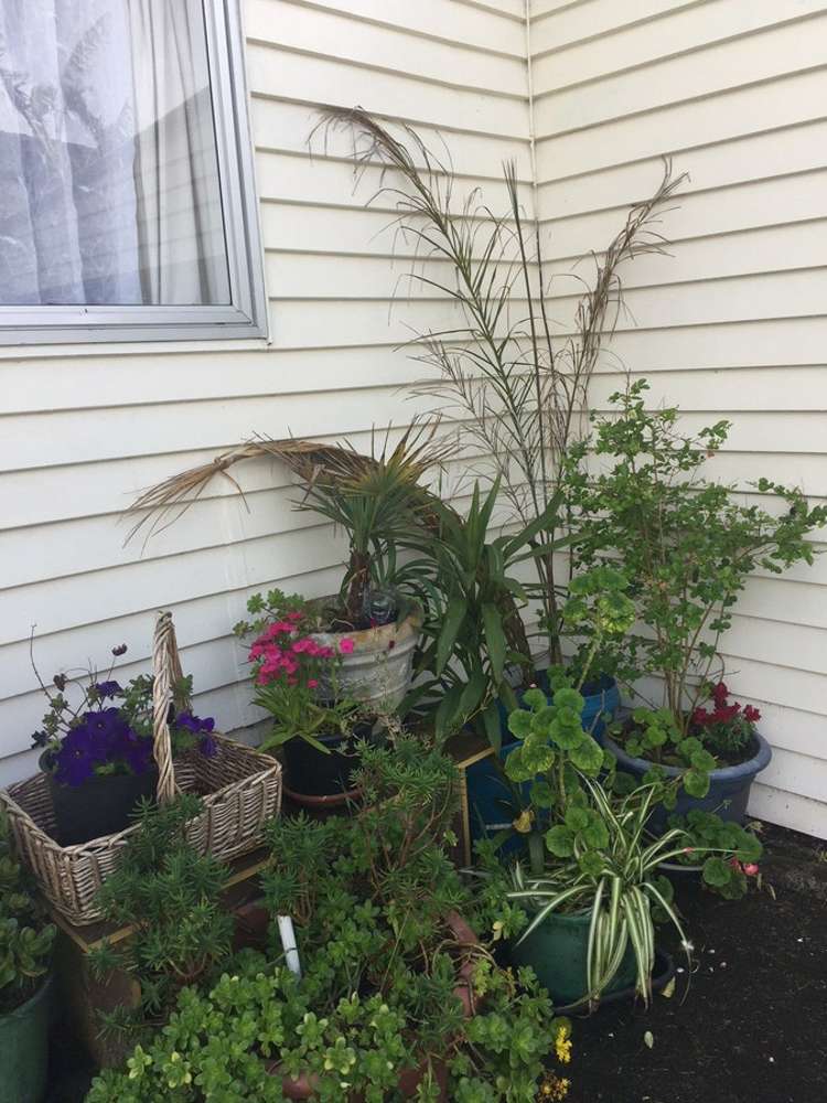 23 Rowandale Avenue Manurewa_3