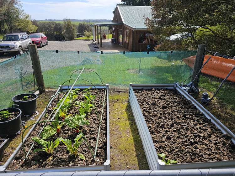 364 Virgin Flat Road Charleston_22