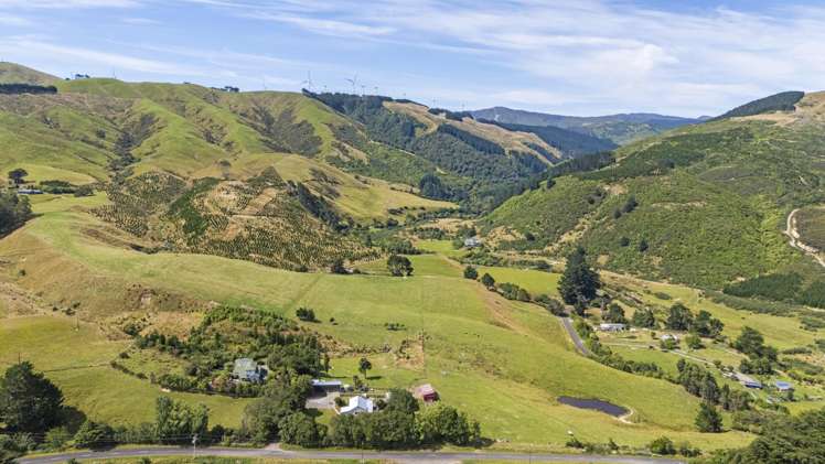 479 Kahuterawa Road Linton_3