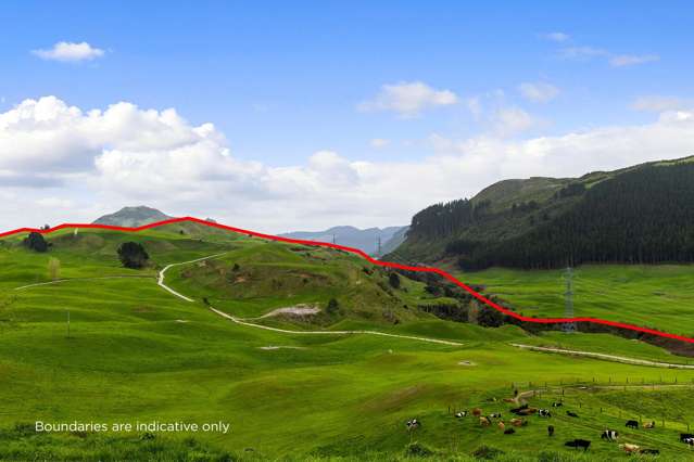 Exclusive dairy farming opportunity