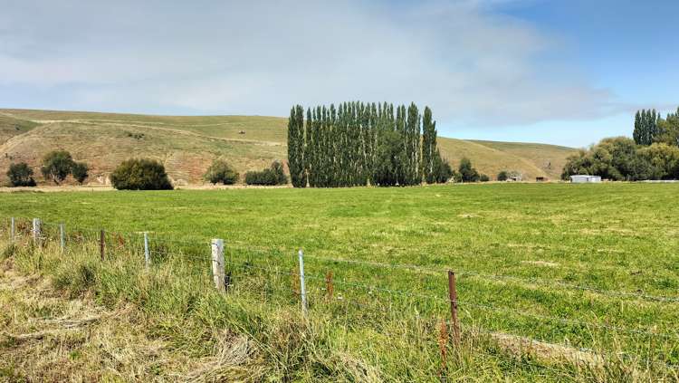 80 Mcdonald Road Lumsden Surrounds_6